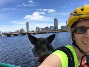 Stacey and her dog Priscilla riding bikes in Boston